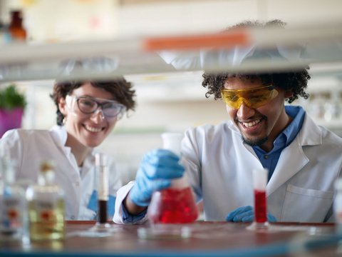 Colleagues working in laboratory